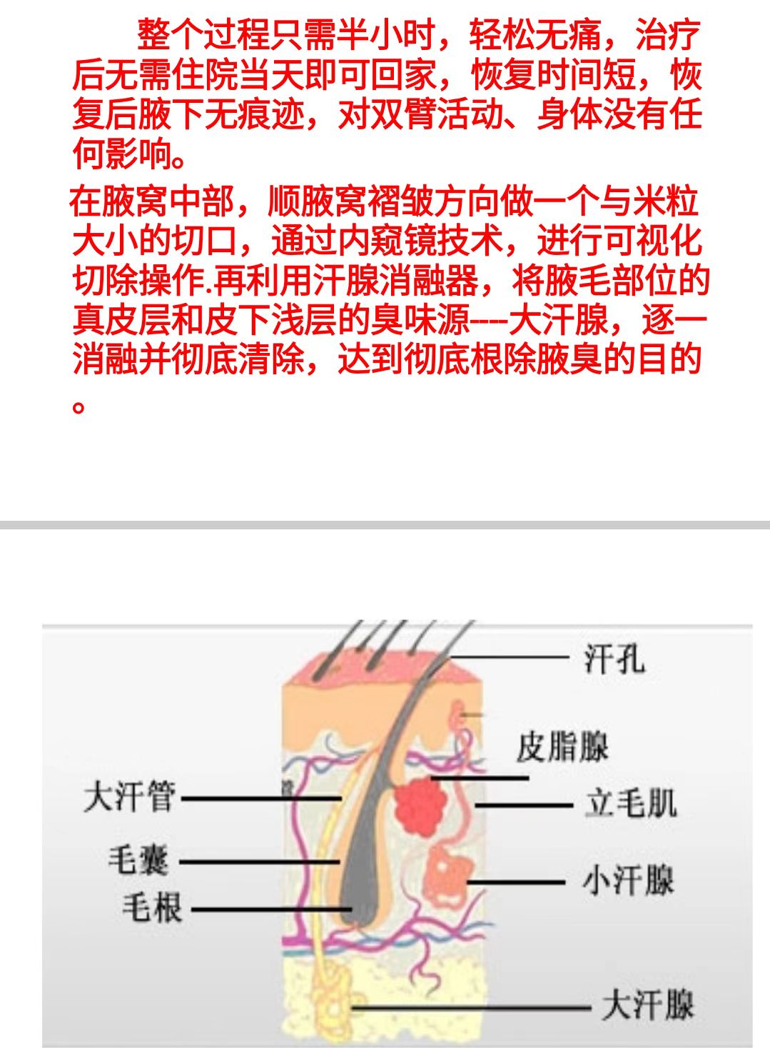 e7460cac57900d6fb44a3ee25a2ac84.jpg